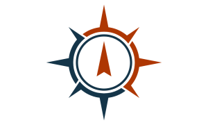 BCA Compass Icon Business Clarity Audit